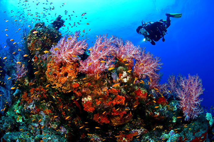 Belize-scuba-dive 