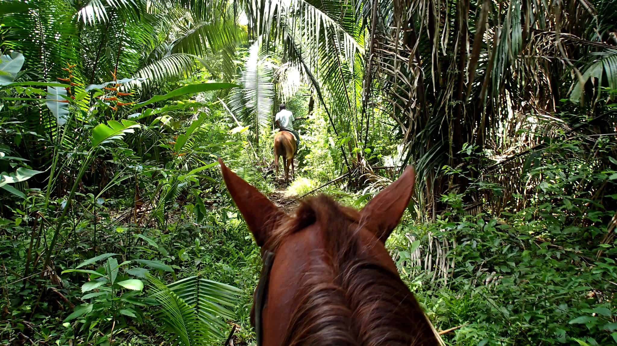 belize horseback riding tours first person view with untame belize