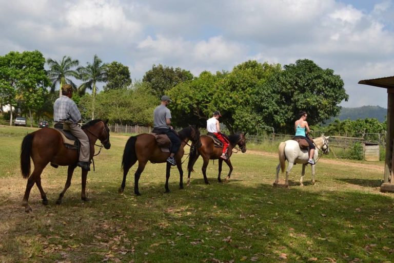 untame belize horseback riding group