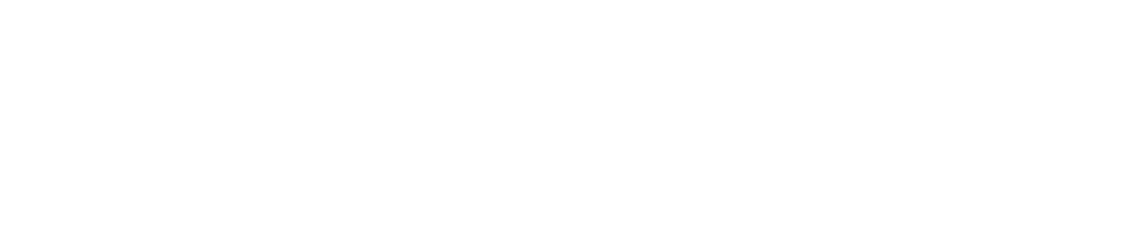Untame Belize Tours and Transfers Logo white