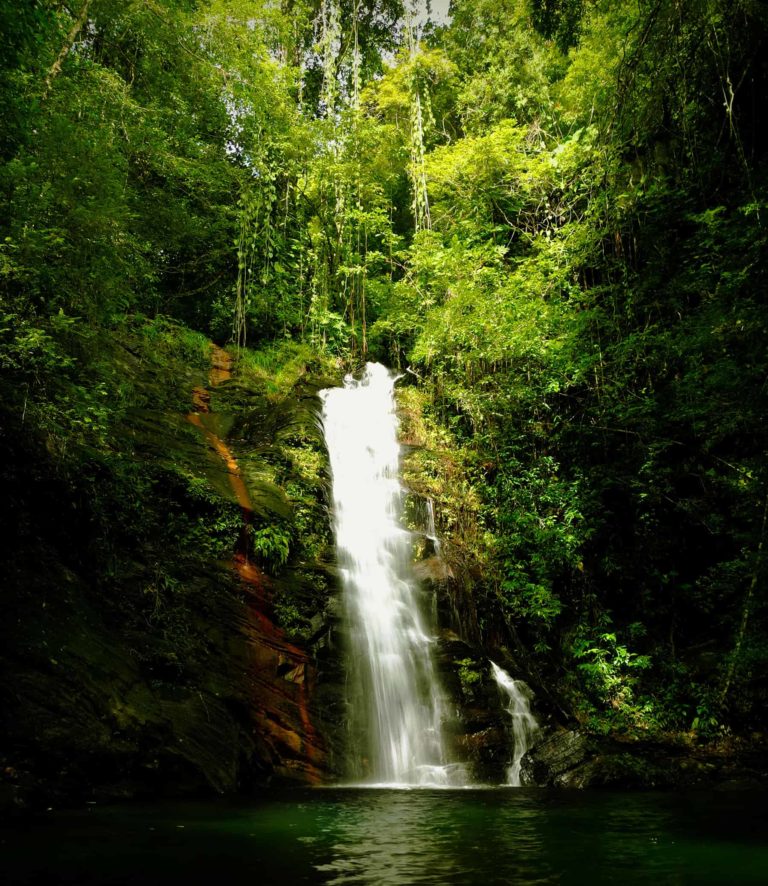 mayan king waterfalls southern belize vertical